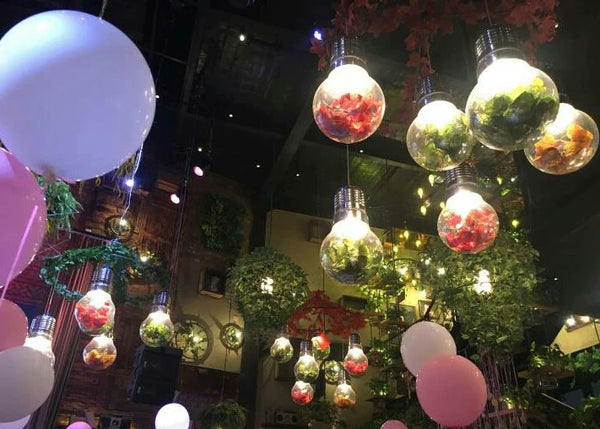 HANA Decorative Pendant Lamp