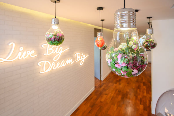 HANA Decorative Pendant Lamp