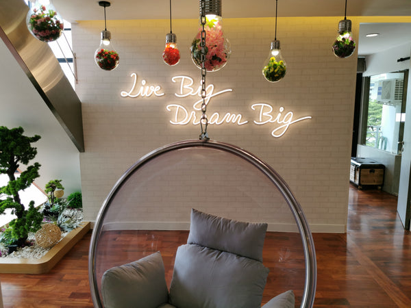 HANA Decorative Pendant Lamp